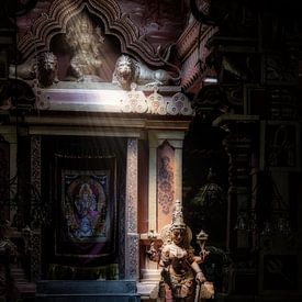 Goddess catches beam of light in mysterious Hindu temple by Eddie Meijer