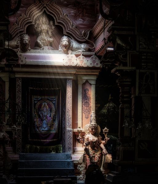 Die Göttin fängt einen Lichtstrahl im geheimnisvollen Hindu-Tempel von Eddie Meijer