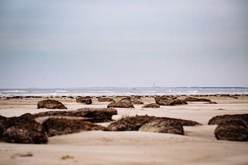Terschelling ameland amelandergat