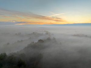 Nebliger Wald aus der Vogelperspektive im Herbst