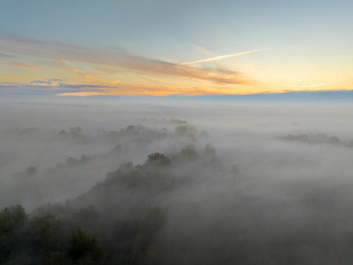 Vue aérienne d'une forêt brumeuse en automne