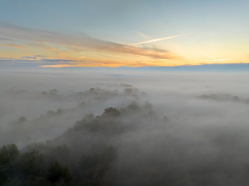 Misty forest overhead aerial view during autumn by Sjoerd van der Wal Photography