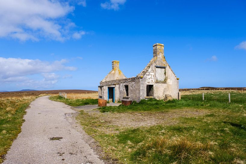 Lonely, old but so beautiful! by Joke Beers-Blom