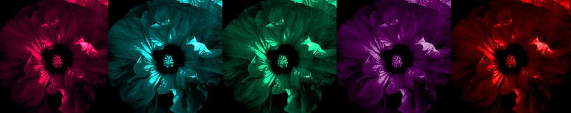 Hibiscus Panorama van Patricia Piotrak