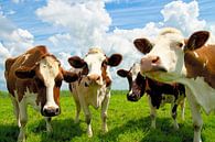 Vier kletsende koeien van Jan Brons thumbnail
