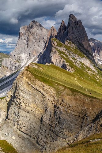 Seceda in the Dolomites.