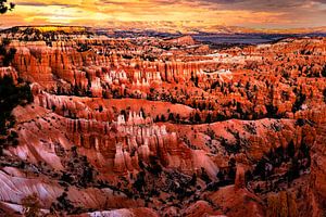 Sonnenuntergang über traumhaften Felsformationen  Bryce Canyon Nationalpark in Utah USA