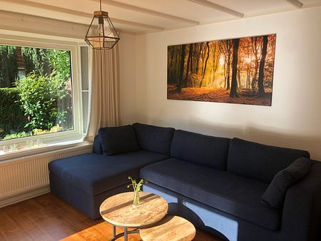 Lumière du soleil dans la forêt d'automne 