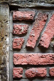 Ziegel mit Holz von Studio Zwartlicht