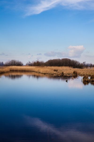 Rive du Zwarte Brekken, un lac en Frise près d'IJlst. One2expose Wout Kok Photographie par Wout Kok