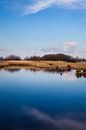 Oever van de Zwarte Brekken, een meer in Friesland vlakbij IJlst. One2expose Wout Kok Photography van Wout Kok thumbnail