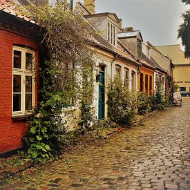 Straatje in Jonkoping (Zweden) von Shirley Brandeis