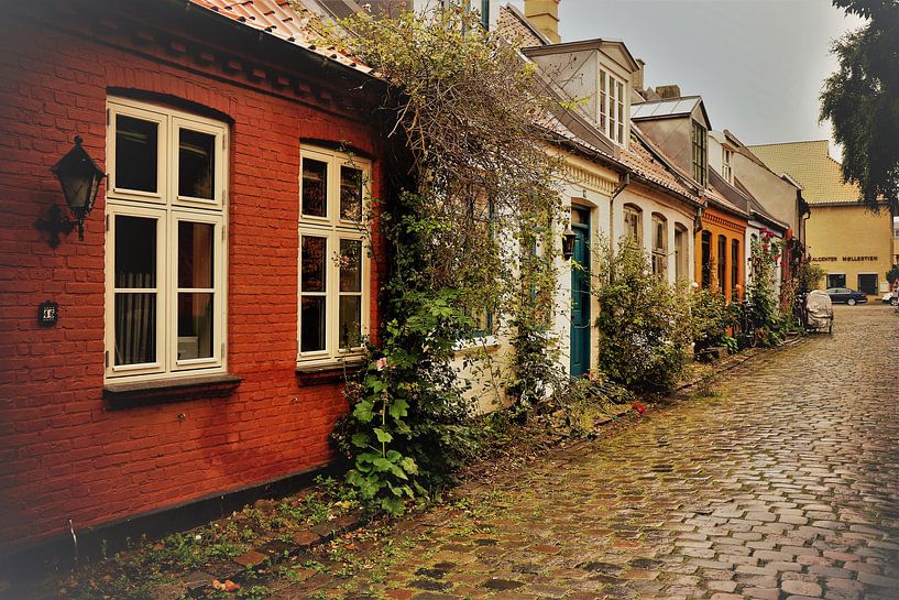 Straatje in Jonkoping (Zweden) by Shirley Brandeis