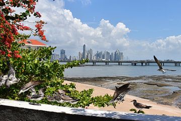 View of the city from the park by Claude Laprise