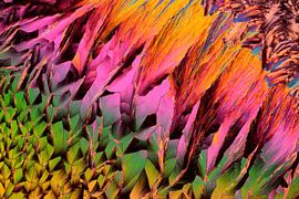 Paracetamol by André Wieringa