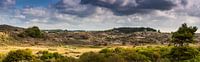 The dunes of Zandvoort