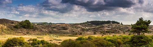 The dunes of Zandvoort