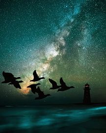 Ganzen in de avond vuurtoren aan de horizon van ellenilli .