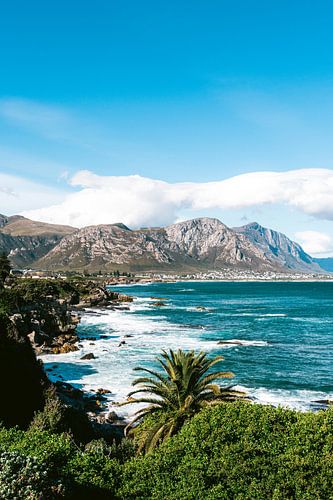 View of the bay of Hermanus, South Africa