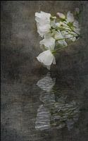 Whispering Waters.