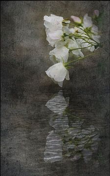 Fluisterende wateren. van David English