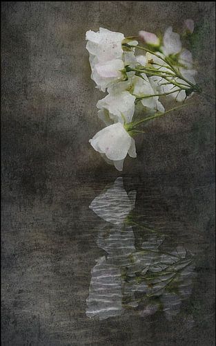 Fluisterende wateren.