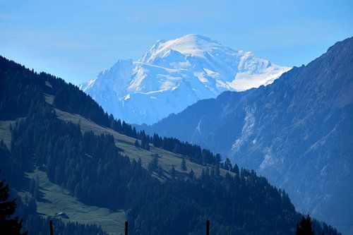 Het Mt. Blanc massief