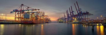 Containerschepen in de haven van Hamburg bij zonsondergang van Jonas Weinitschke