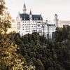 Neuschwanstein | Sprookjeskasteel in de Beierse Alpen van Laura Dijkslag