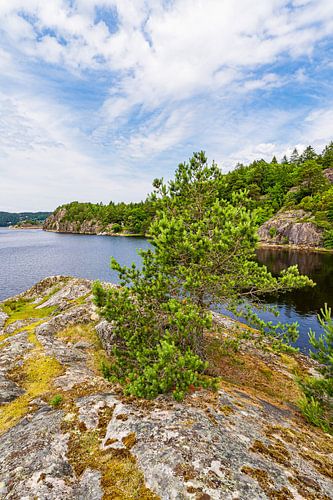 Felsen und Bäume im Naturreservat Kobbungen nahe Strömstad, Sc von Rico Ködder