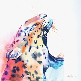 Wild Leopard, Aimee Del Valle