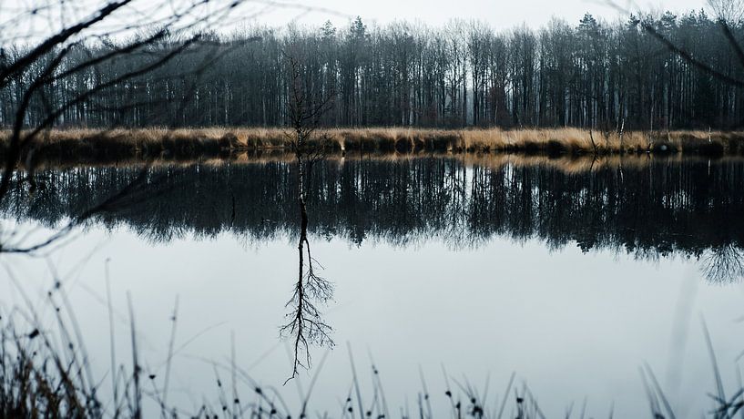 Torfland von Ruben Terlouw