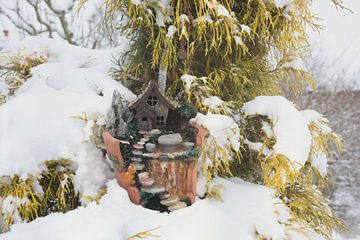 magie hivernale sur Dietmar Krappmann