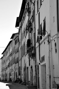Toskana Italien Lucca Downtown schwarz und weiß