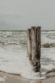 Wellenbrecher im Meer von Sanne van Pinxten