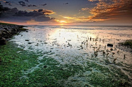 Het wad bij zonsopgang
