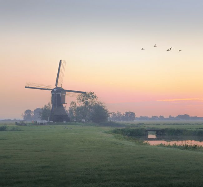 Morgenstimmung in Streefkerk von Trudiefotografie