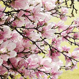 Golden Magnolia Time van Petra Nawrath