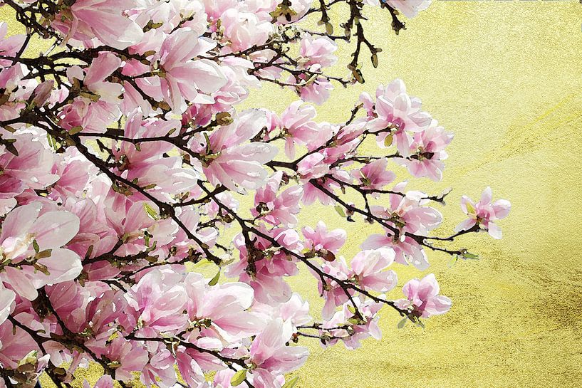 Golden Magnolia Time by Petra Nawrath
