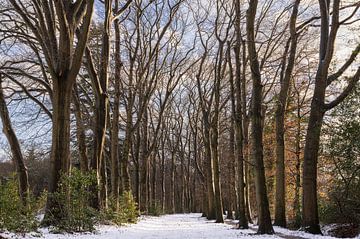 Winter in Groningen (Netherlands) by Marcel Kerdijk