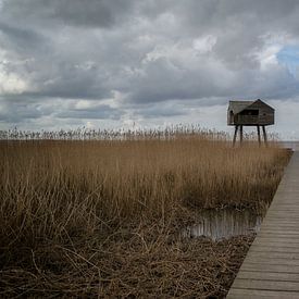 Kiekkaaste  Nieuwe Statenzijl Groningen  van Kevin Boelhouwer