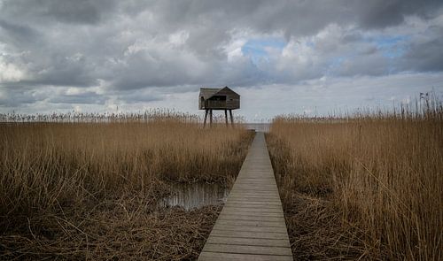 Kiekkaaste  Nieuwe Statenzijl Groningen 