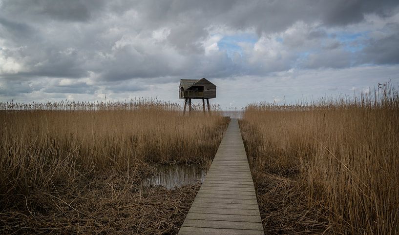 Kiekkaaste  Nieuwe Statenzijl Groningen  by Kevin Boelhouwer