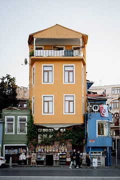 Istanbul van Meike Molenaar