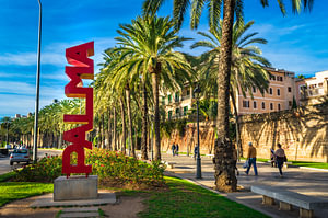 Palma de Mallorca Stadtzentrum mit Palmenallee und Blick auf das Ortsschild von Palma