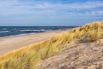 Beach on the Baltic Sea coast in Graal Müritz by Rico Ködder