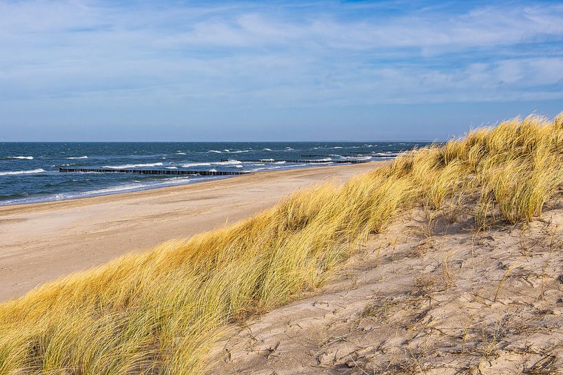 Strand an der Küste der Ostsee in Graal Müritz von Rico Ködder