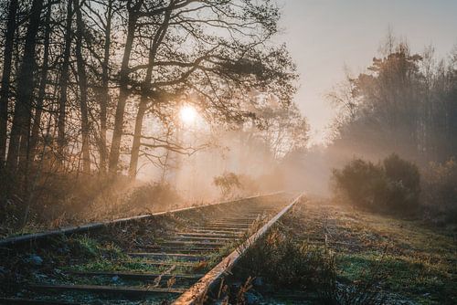 Zonsopgang bij de oude Borkensebaan treinspoor