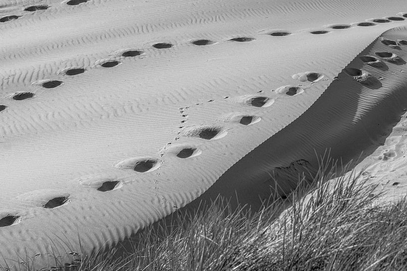 sporen in het zand by Dirk van Egmond