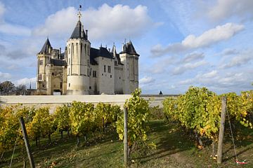 Frans kasteel met wijngaard op de voorgrond van Studio LE-gals